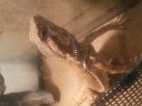 20160508_131224.jpg