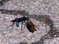072807 003-1.jpg