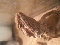 20160508_131137.jpg
