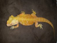 20160616_160027.jpg