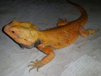 20160616_155953.jpg