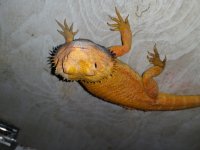 20160616_160006.jpg