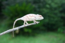 IMG_5816.jpg