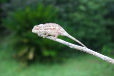 IMG_5821.jpg