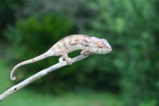 IMG_5823.jpg
