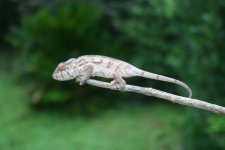 IMG_5825.jpg