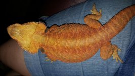 20150918_144145.jpg