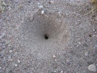 IMG_0047.jpg