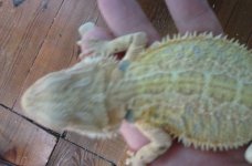 20160706_171000.jpg