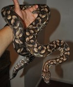 DSC_0999.jpg