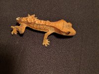 IMG_20160512_211116.jpg