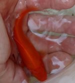 IMG_20160702_160212.jpg