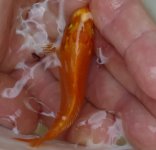 IMG_20160702_160636.jpg