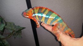 20160817_094203.jpg