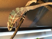 IMG_6473[1].jpg