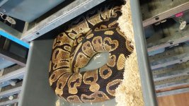 20160701_193227[1].jpg