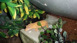 20160425_171647.jpg
