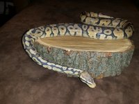 IMG_20160502_212358.jpg