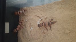 20160905_183938.jpg