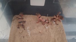 20160905_183947.jpg