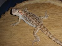 20160430_180241.jpg
