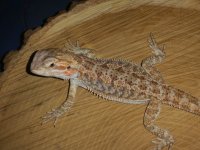 20160430_180235.jpg
