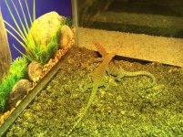 IMG_0539[1].jpg