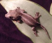 IMG_1987.jpg