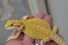 DSC_4794.jpg