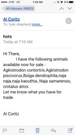 scam.jpg