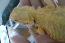 20160816_115552.jpg