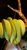 13244659_1118571304862118_7469528103716148677_n.jpg