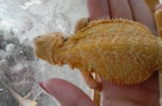 20160817_171456.jpg