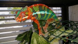 20160624_134752.jpg