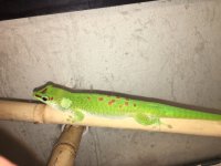 IMG_4988.jpg
