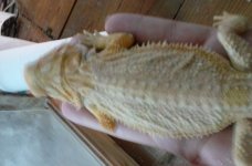 20160817_171625.jpg