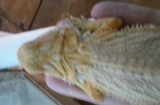 20160817_171630.jpg