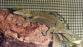 20160520_164723.jpg