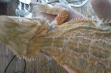 20160817_172009.jpg