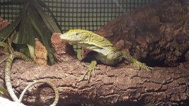20160507_155024.jpg