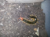 20160924_103213.jpg
