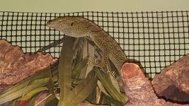 20160402_085225.jpg