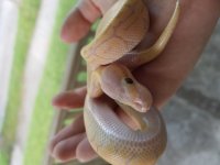 20160826_175332.jpg