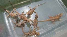 20160628_132414.jpg