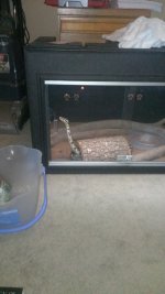 IMAG0115.jpg