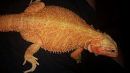 20160701_143434.jpg