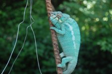 DSC_1275.jpg