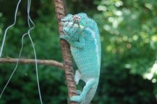 DSC_1276.jpg