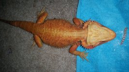20160702_175621.jpg