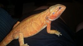 20160701_143427.jpg